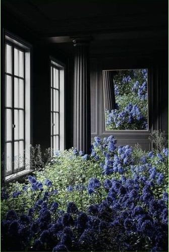 Madrid Florece — instalación floral